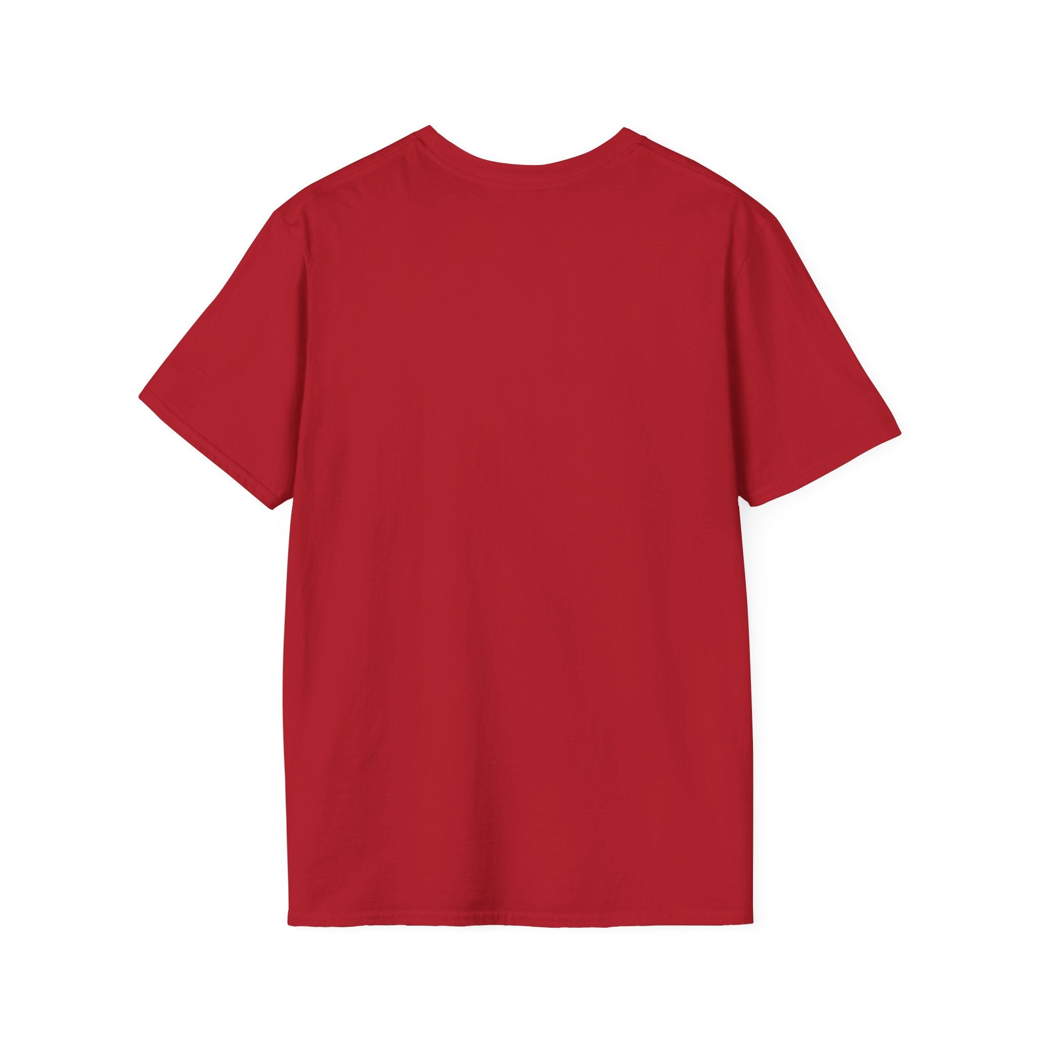 Inspirational T-Shirt — “Don't let the person you used to be talk you out of the person you're becoming” Motivational Tee